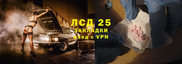 гидра Аркадак