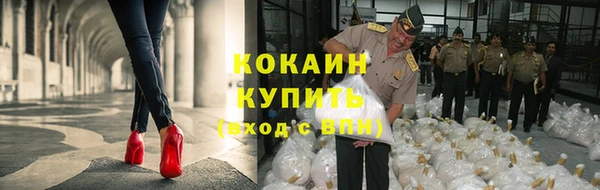 молекула духа Арсеньев
