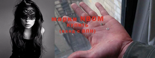 молекула духа Арсеньев