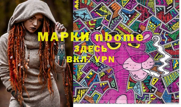 молекула духа Арсеньев