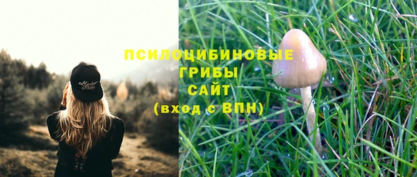 молекула духа Арсеньев