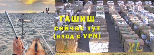 молекула духа Арсеньев