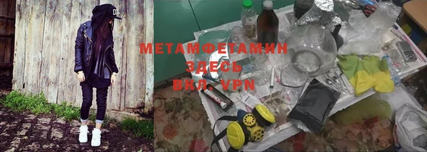 гидра Аркадак
