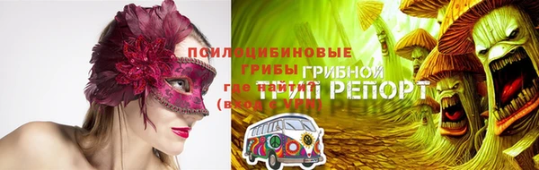 гидра Аркадак