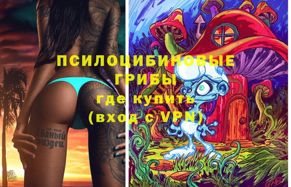 молекула духа Арсеньев