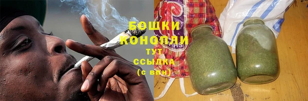 гидра Аркадак