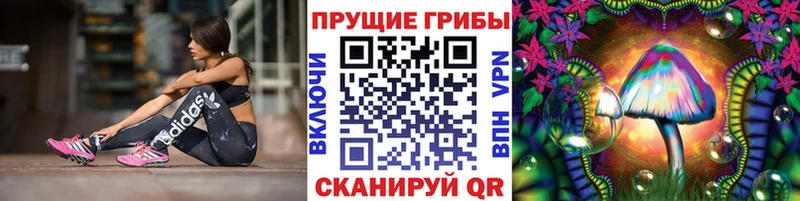 Псилоцибиновые грибы Psilocybine cubensis  Николаевск-на-Амуре 